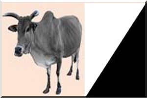 Lettre adressée par l’AJD/MR au Premier Ministre et qui est relative au dialogue politique