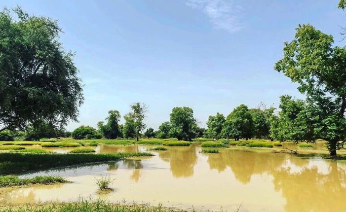 Trois morts et des dégâts matériels suite aux intempéries en Mauritanie