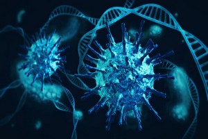 Coronavirus : le C12, un nouveau variant venu d'Afrique du Sud qui inquiète les scientifiques