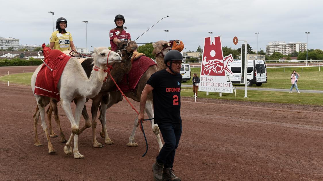 France-Mauritanie : démonstrations de course de dromadaires à l’hippodrome de Reims