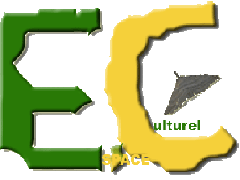 ESPACE CULTUREL Diadié Tabara Camara – accueille l’Album video de 2F Xaliss  ce vendredi 9 janvier 2014  à 16h30 – Entrée libre …