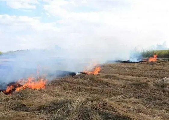 Le wali du Gorgol menace les responsables des feux de brousse de poursuites judiciaires et met en garde contre la détérioration du couvert végétal 