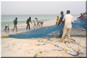 Pêches: clôture de l'atelier de formation sur la collecte et l'enregistrement des données de pêche