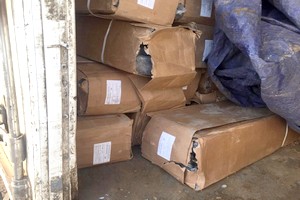 Poissons : La Sndp met en vente aux enchères plus de 500 tonnes de chinchard