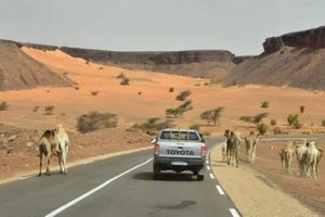 Le maire de Wadane : « la saison touristique sera ouverte en même temps que le festival des villes du patrimoine »