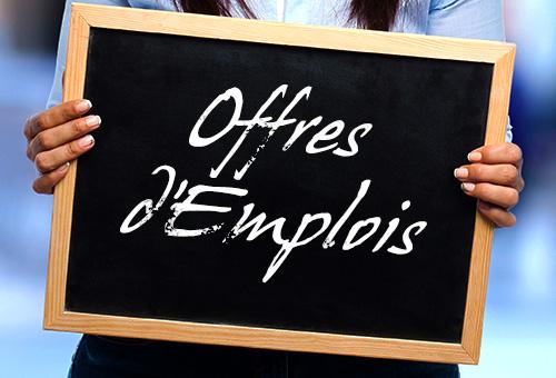 Offre d’emplois : 2 ingénieurs des télécommunications, Lieu d’affectation : Mauritanie